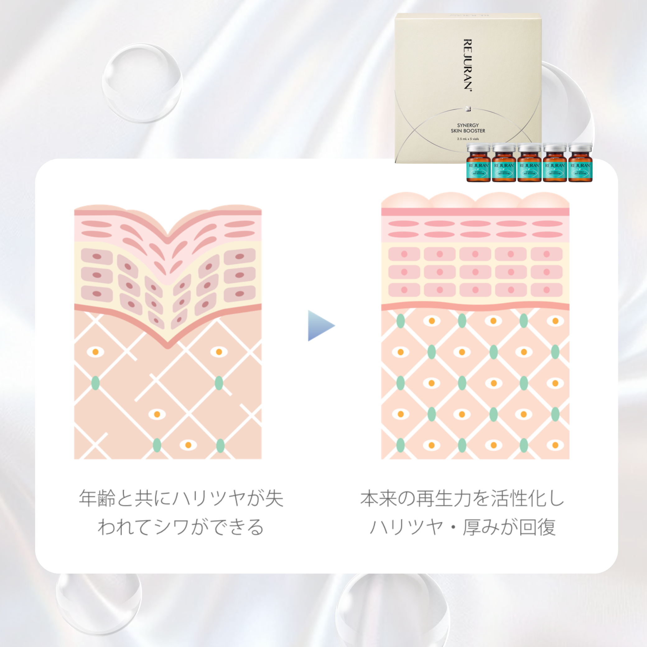リジュラン製品と肌断面図